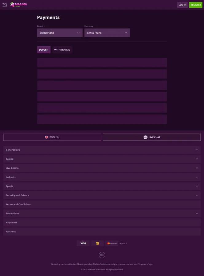 Malina Casino payment information and currency selector
